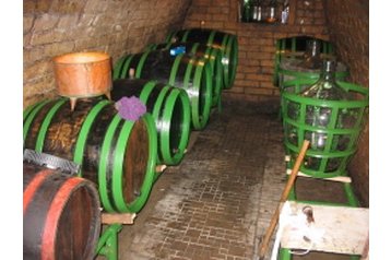 Vasaras māja Dudince 7